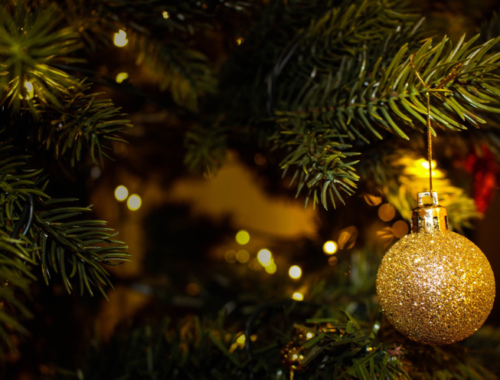 Get Fit and Festive: Incorporating Christmas Trees into Your Exercise Routine