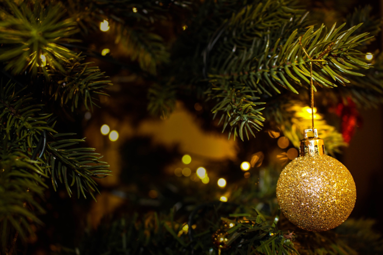 Get Fit and Festive: Incorporating Christmas Trees into Your Exercise Routine