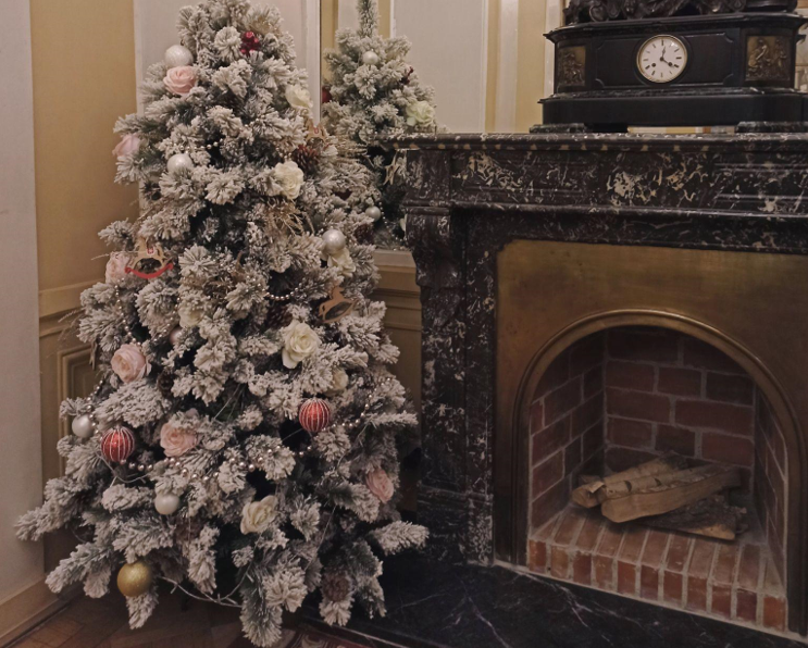 Be the King of Christmas Trees with These 12 Unique Ideas